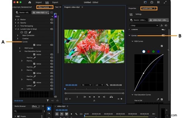 Premiere Pro Curves: A Comprehensive Guide to Color Correction & Grading