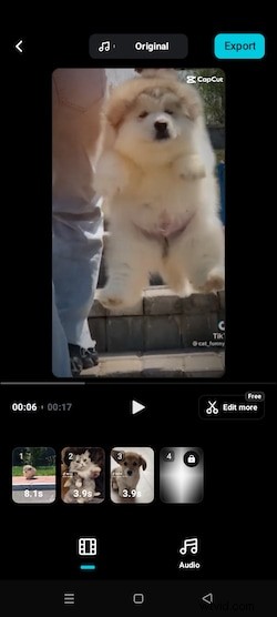 CapCut AutoCut vs. Filmora AI Auto Cut: Which AI Video Editor is Best?