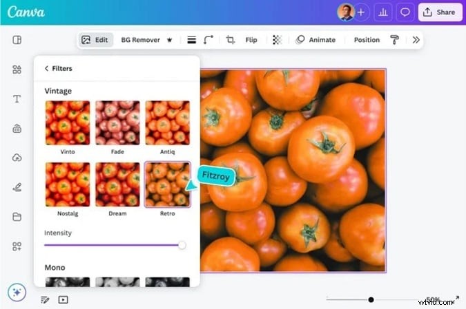 Canva Video Editor Review: Is It Powerful Enough for Pro Creators?