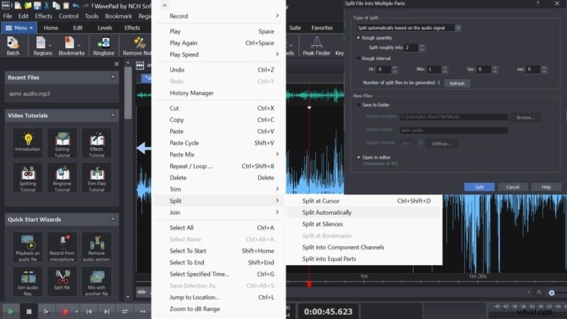 WavePad Audio Editor Review 2024: Is It Still the Best Free Option?