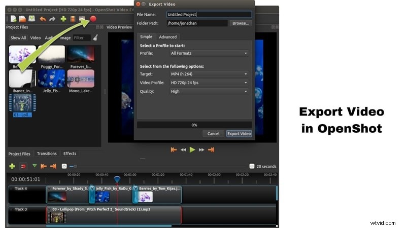 DaVinci Resolve vs. OpenShot: Which Free Video Editor is Right for You?