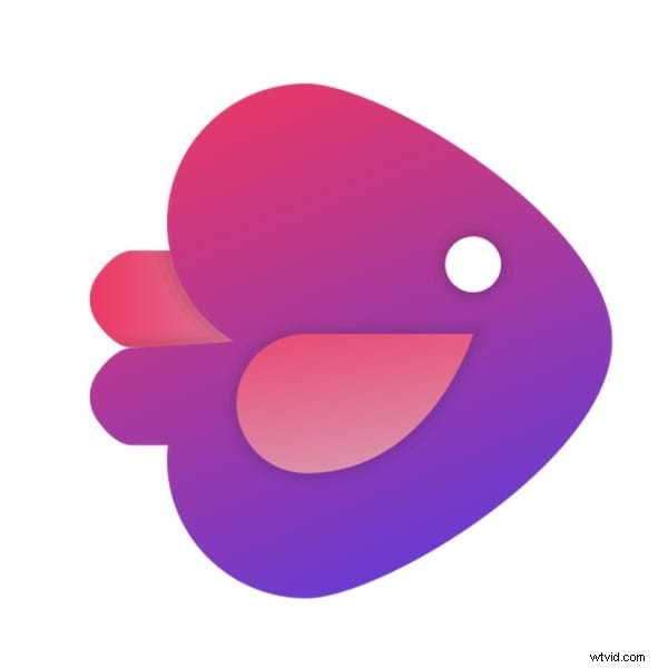 Top AI-Powered Instagram Reel Editors 2026 | Free & Paid Options