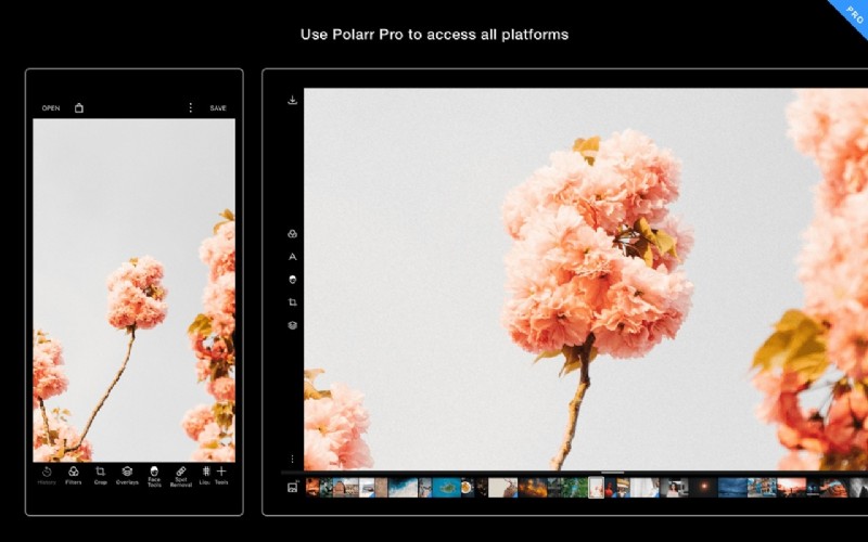 Top Lightroom Alternatives: Powerful Photo Editors for Every Budget (2024)
