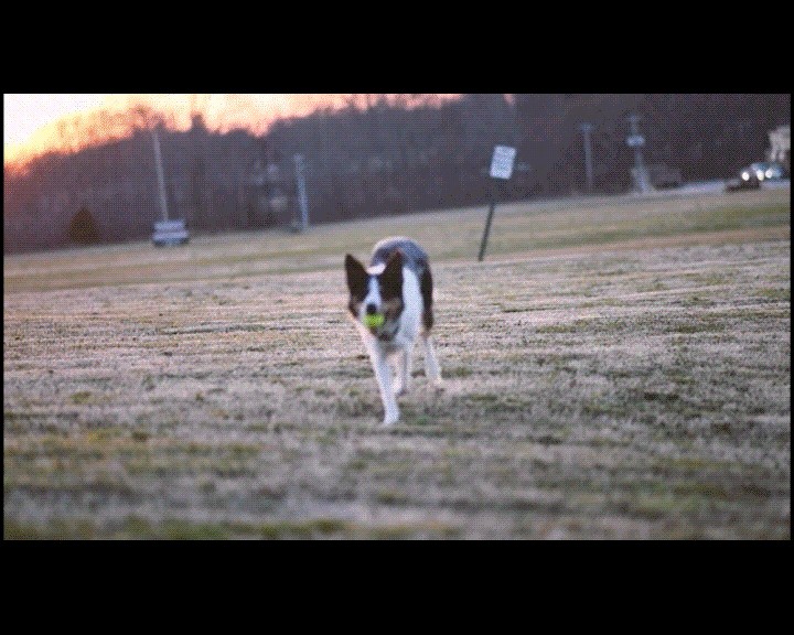 KineMaster Effects: A Simple Guide to Video Editing