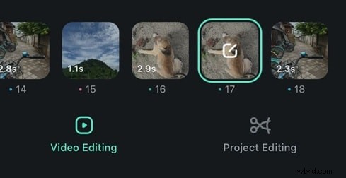 Top Photo Collage Apps for iPhone & Android - Free & Paid