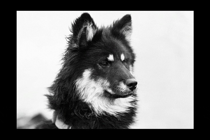 2026 Best Glitch Effect Generators: Filmora AI and Top Alternatives