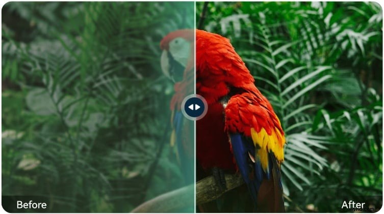 Topaz Photo AI 2026: Review & Is It Still Worth It?