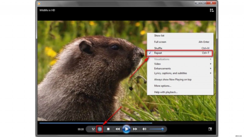 Top Video Looper Tools for Seamless Repetition | [Year]