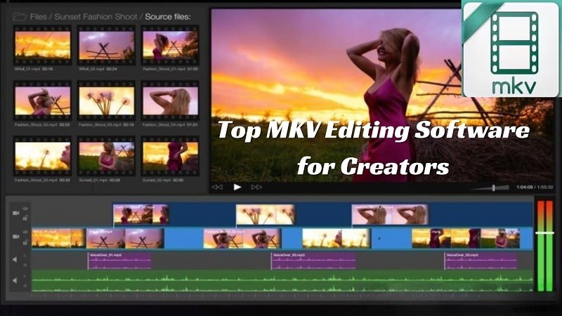 Best MKV Video Editors: Edit MKV Files with Ease - [Year]