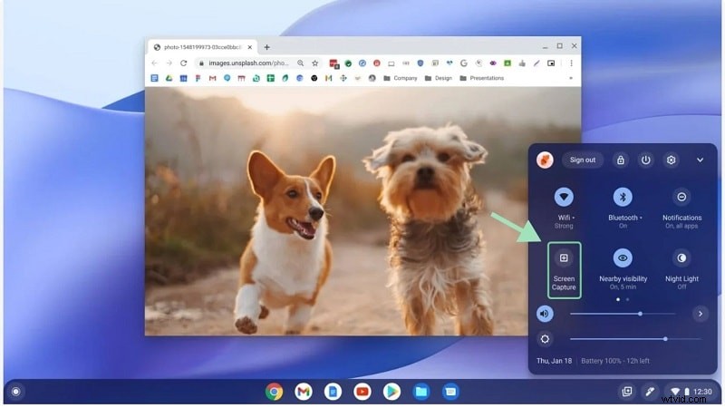 Chromebook Screen Recording: A Complete Guide (with Audio)