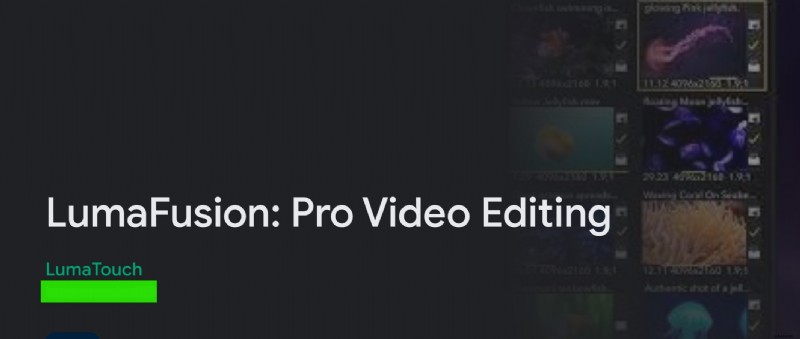 Lumafusion iPad Review: Professional Video Editing on the Go