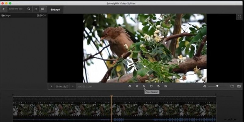 SolveigMM Video Splitter Review: Efficient Video Trimming & Editing (2024 Update)
