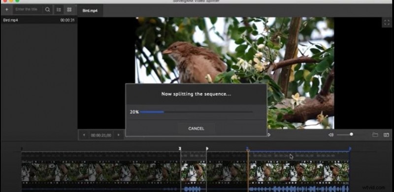 SolveigMM Video Splitter Review: Efficient Video Trimming & Editing (2024 Update)
