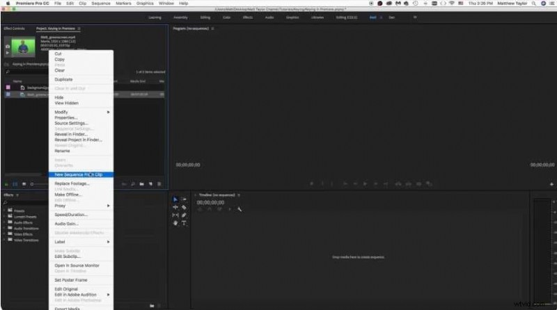 Premiere Pro: How to Remove Video Backgrounds (2024 Guide)