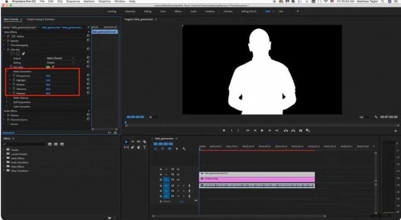 Premiere Pro: How to Remove Video Backgrounds (2024 Guide)