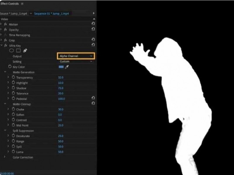 Premiere Pro: How to Remove Video Backgrounds (2024 Guide)