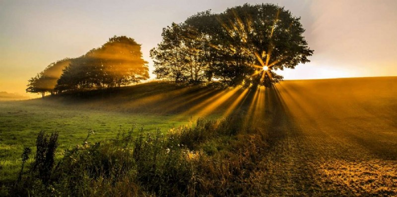 Mastering Cinematic Videography: Expert Techniques for Powerful Storytelling