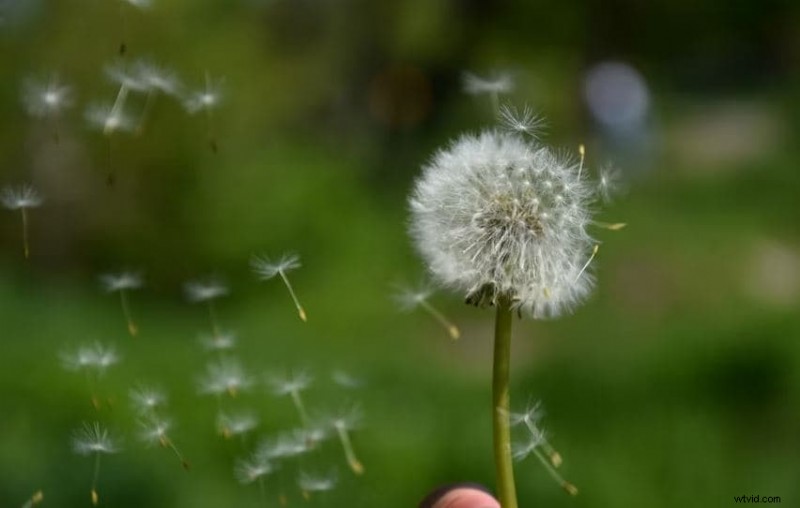 Mastering Slow Motion in CapCut: Lenta Template Guide