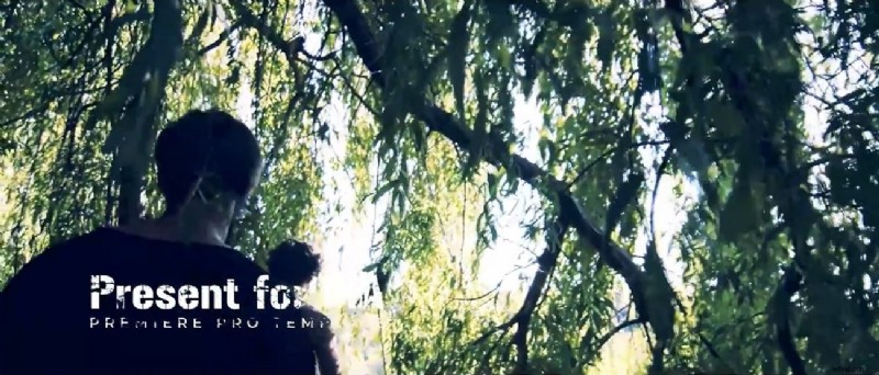 Master Slow-Motion in Premiere Pro: Expert Tips & Templates