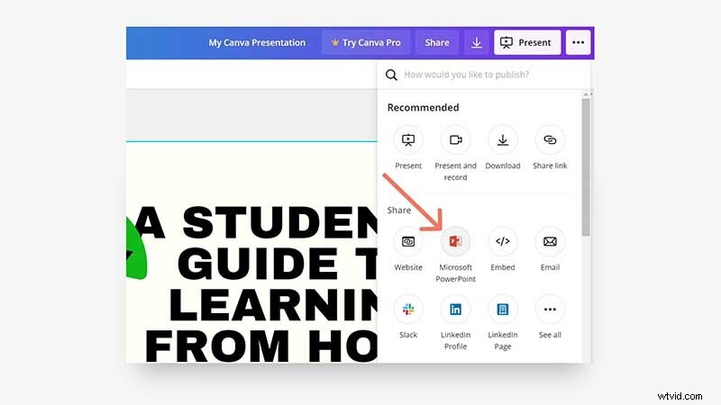 Unlock Canva Slideshow Secrets: Advanced Tips & Tricks