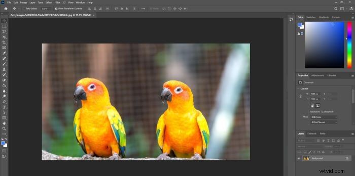 Photoshop Shake Reduction: Does it Deliver?