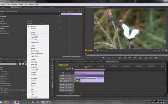 Master Frame Blending in Premiere Pro: A Comprehensive Guide