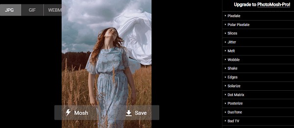 Creative Image Distortion: Tools & Techniques for Artistic Effects