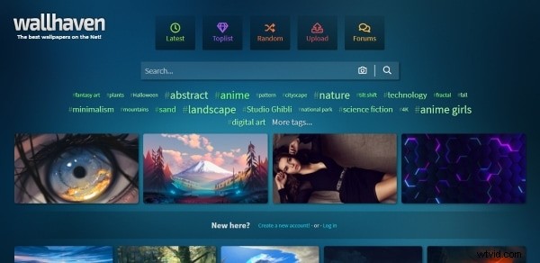 How to Set and Customize Windows 11 Wallpapers – A Complete Guide