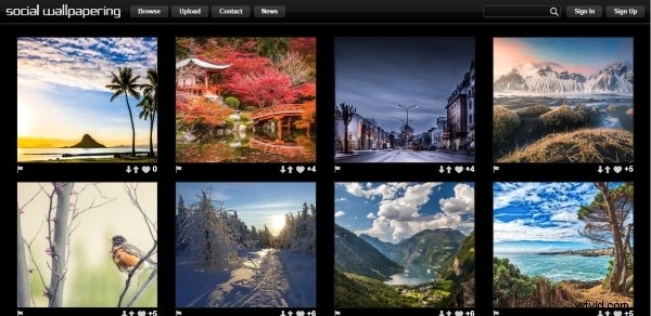 How to Set and Customize Windows 11 Wallpapers – A Complete Guide