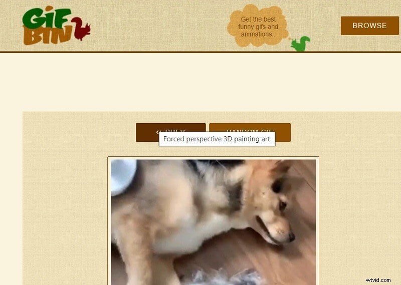 Free Animated GIF Websites: Top Sources & Download Guides