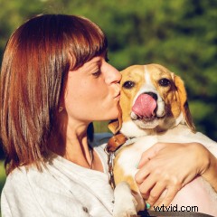 Unlock VLC s Hidden Potential: 10 Powerful Features You Didn t Know