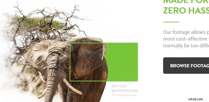 Free Green Screen Resources: Top 8 Websites for Backgrounds & Footage