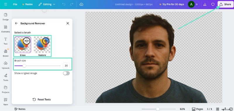 Effortlessly Remove Backgrounds in Canva: Top Methods & Alternatives