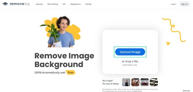 Effortlessly Remove Backgrounds in Canva: Top Methods & Alternatives