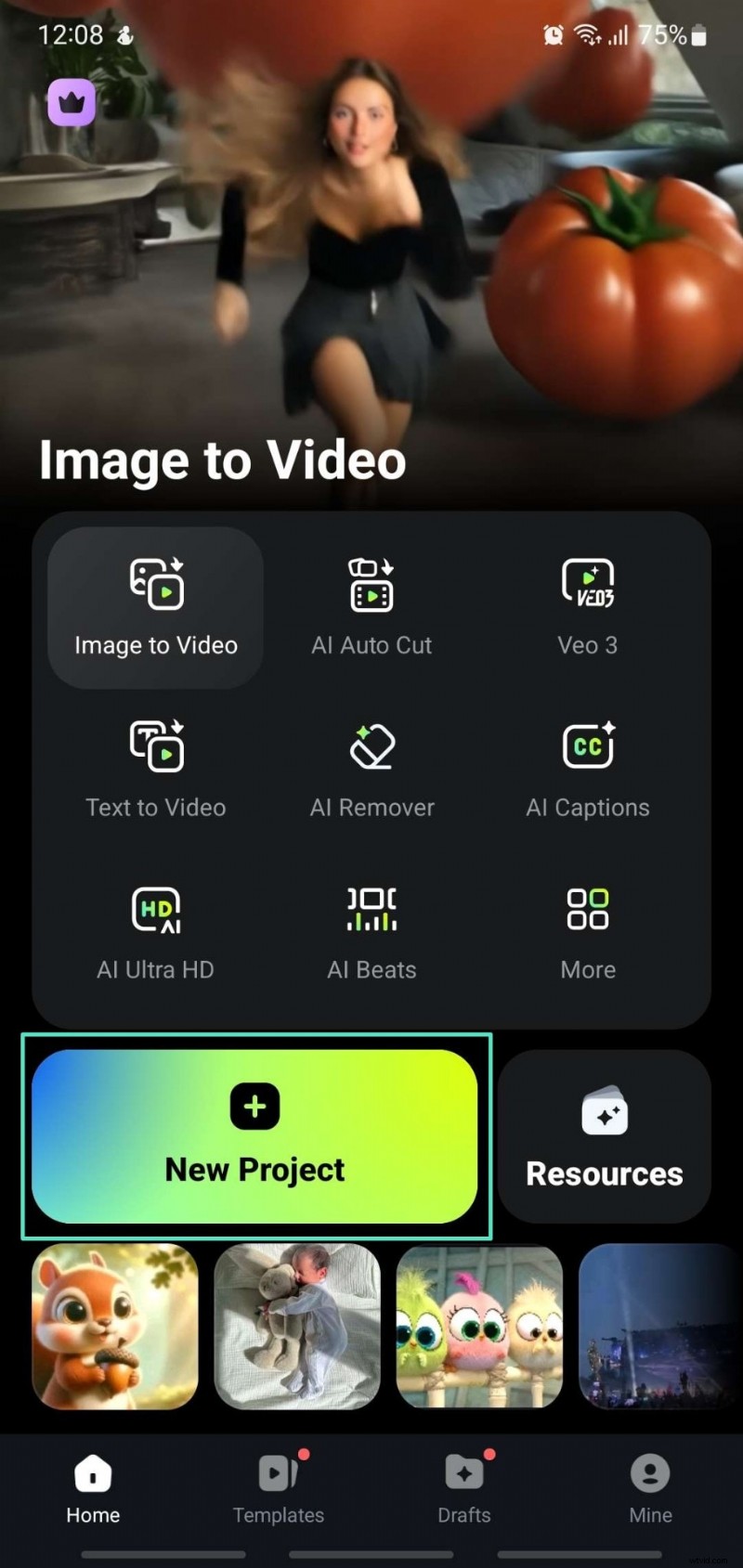 Effortlessly Remove Backgrounds in Canva: Top Methods & Alternatives