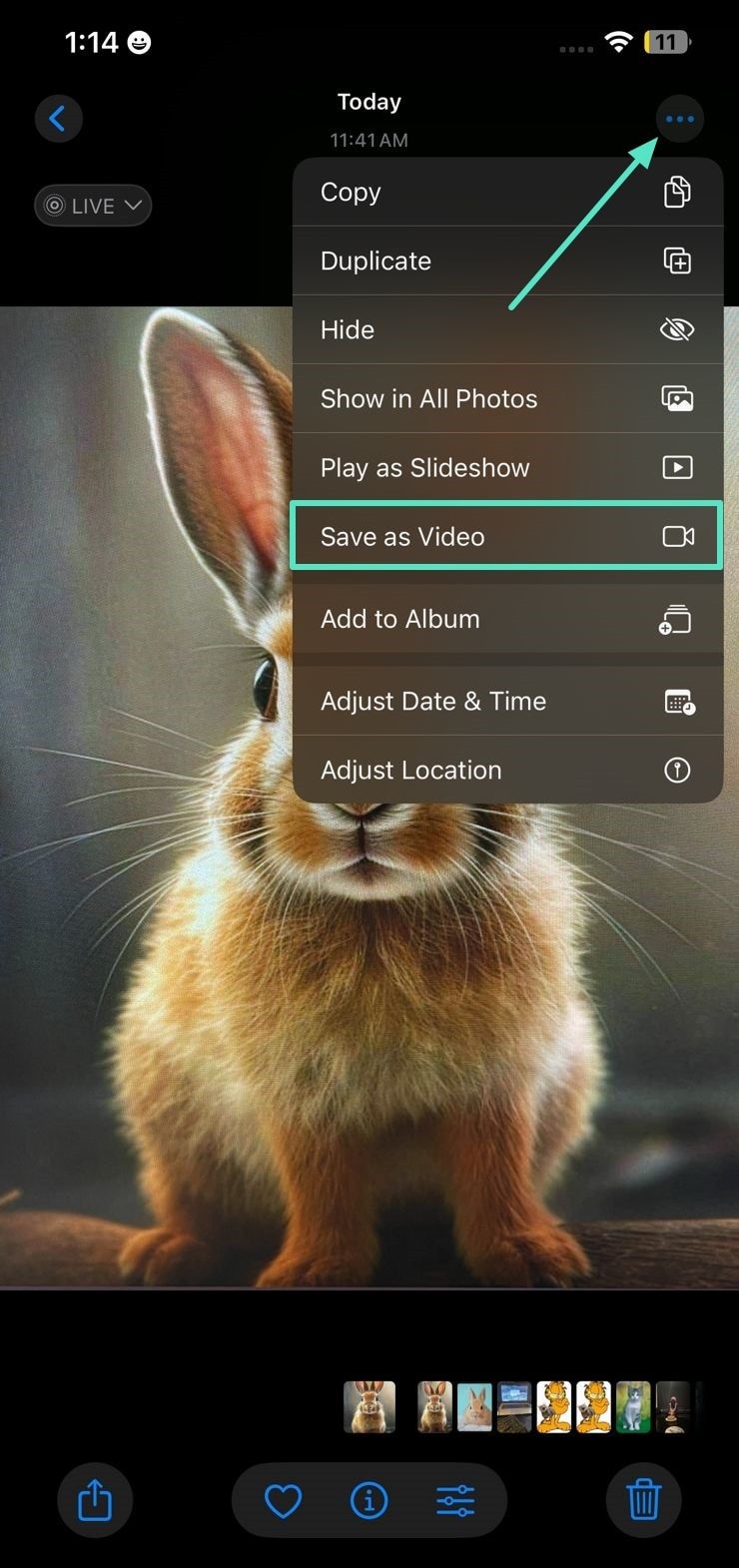 Convert Live Photos to Videos: A Comprehensive Guide