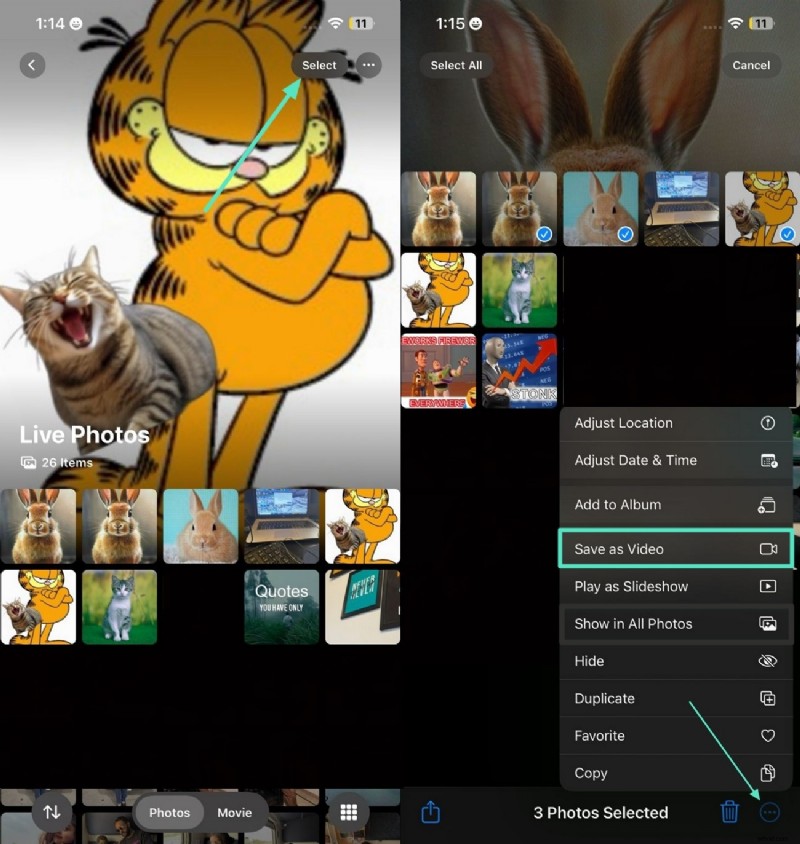Convert Live Photos to Videos: A Comprehensive Guide