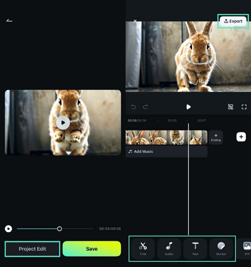 Convert Live Photos to Videos: A Comprehensive Guide