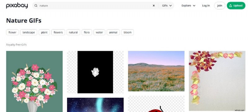 Top 8 Websites for Free Royalty-Free GIFs | [Year]