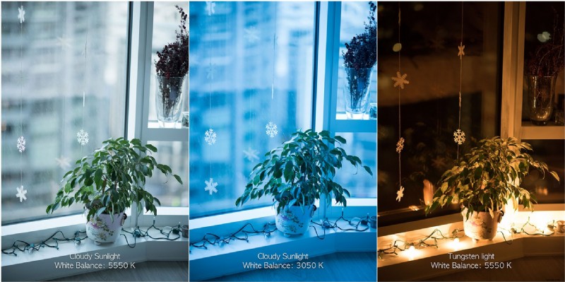 iPhone White Balance: How to Fix Color Casts & Get Natural Photos