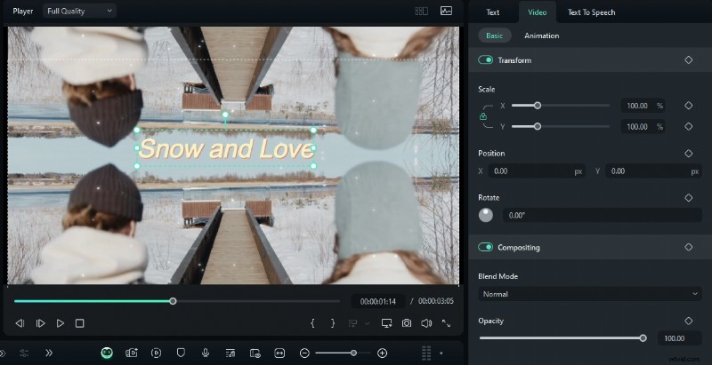 Online Video Mirroring: Tools & How-To - Improve Visuals