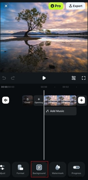 Master iPhone Reflection Photography: Expert Tips & Filmora Editing Guide