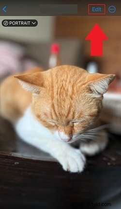 Effortlessly Blur Photos on iPhone: 4 Simple Methods