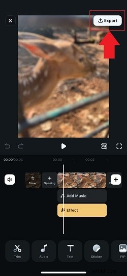 Effortlessly Blur Photos on iPhone: 4 Simple Methods
