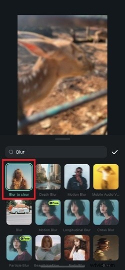 Effortlessly Blur Photos on iPhone: 4 Simple Methods