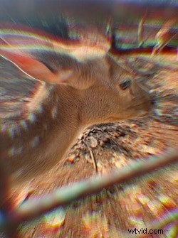 Effortlessly Blur Photos on iPhone: 4 Simple Methods