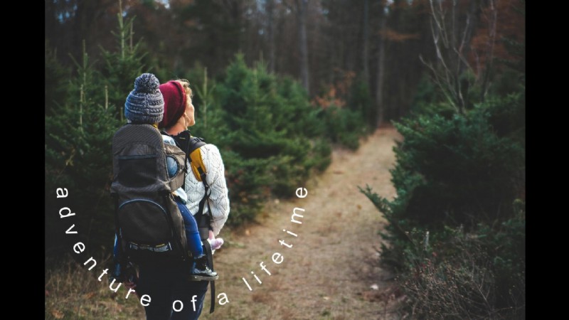 Create Curved Text in Photos: A Simple Filmora Tutorial