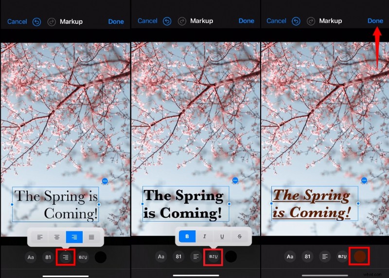 Add Text to Videos on iPhone, iPad & Mac: A Comprehensive Guide [2024]