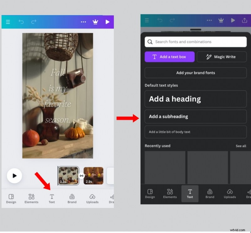 How to Add Curved Text in Canva: A Quick & Easy Guide