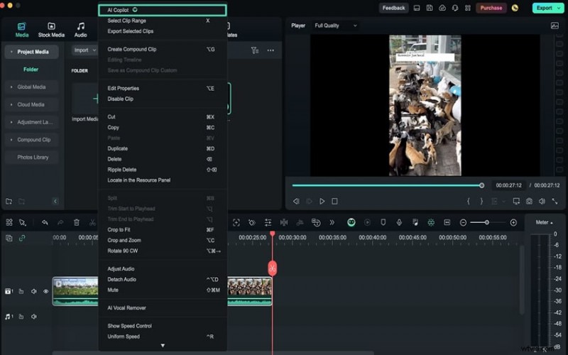Master Video Editing on macOS 15 Sequoia: The Ultimate Guide with Wondershare Filmora